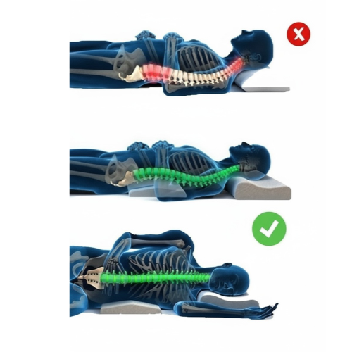 Contour Memory Foam Pillow
