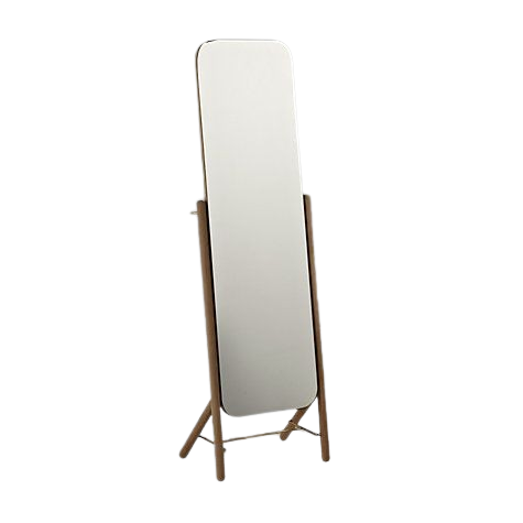 View Mirror