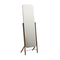 View Mirror