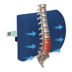 Back Support Pillow