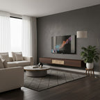 Rebo T.V Unit