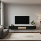 Rebo T.V Unit