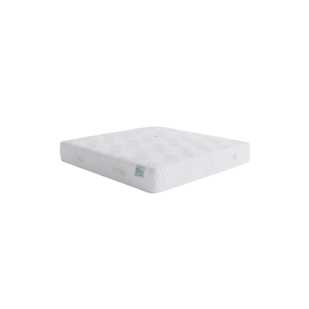 Zela Pedic-Memory Foam Mattress