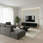 Modest T.V Unit