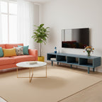 Rinza T.V Unit
