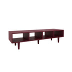 Rinza T.V Unit