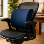 Back Support Pillow