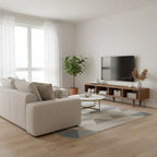 Rinza T.V Unit