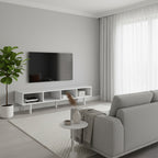 Rinza T.V Unit